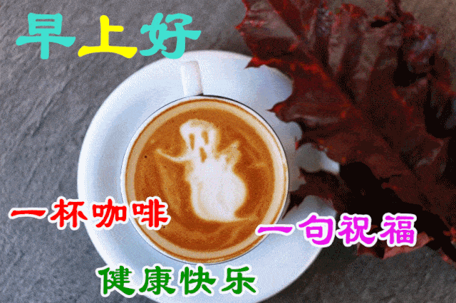 11月22日最漂亮早上好动态表情图片大全,早晨好动图美图大全