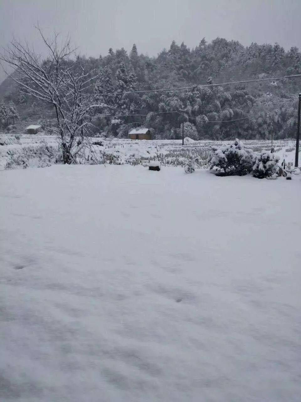 小雪不见雪,全世界都在瞒着南平下雪!