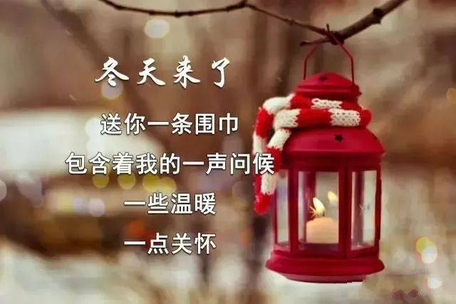 11月21日,最漂亮早上好动态表情图片大全,早晨好美图大全