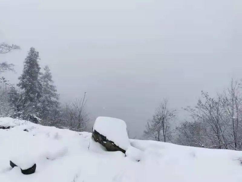 平利及全市多县区迎来今年第一场雪!