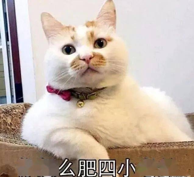 21db1bbedf63494a9cc844055f9a63c3.jpeg