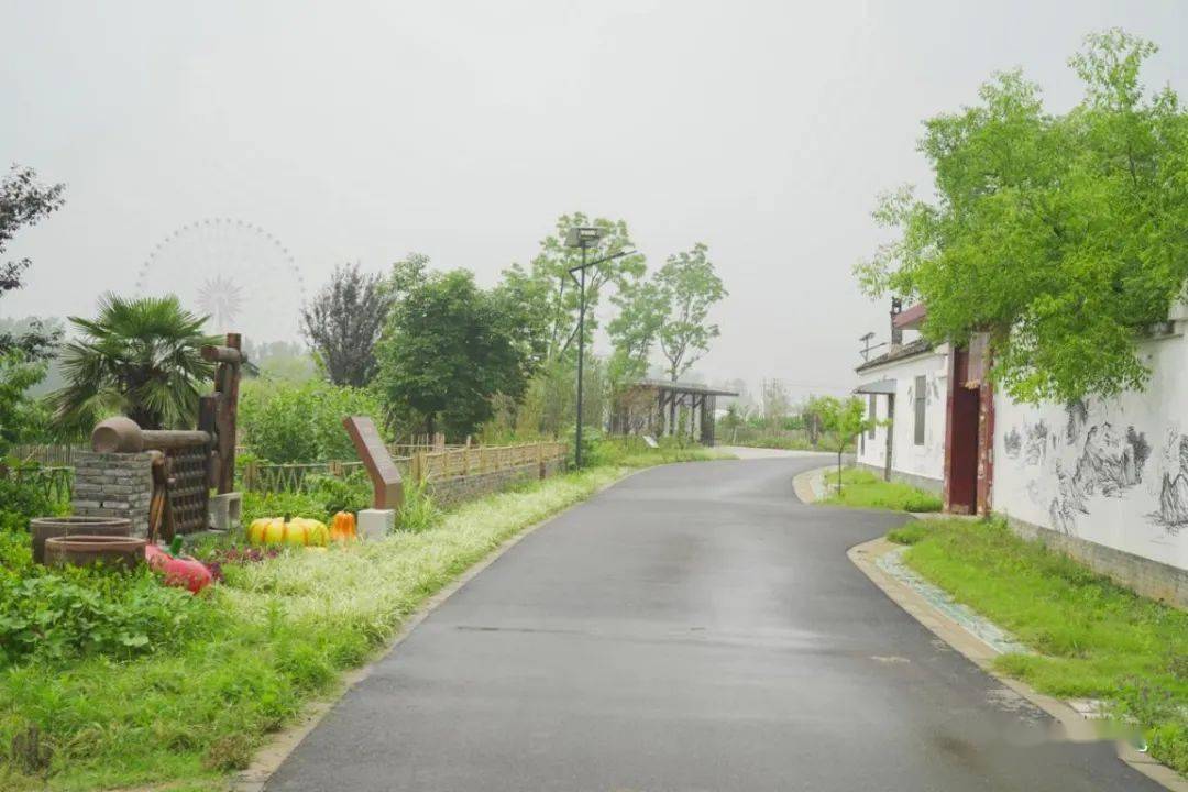 作为江苏省特色田园乡村首批试点村,近年来,江苏省仪征市月塘镇四庄