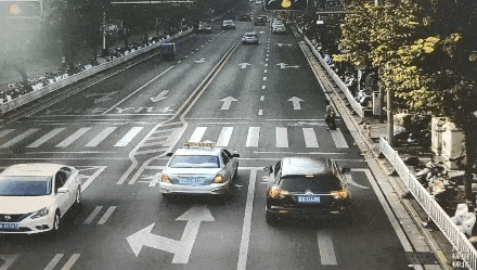 【礼让红黑榜】斑马线前让一让 行人车辆都无恙