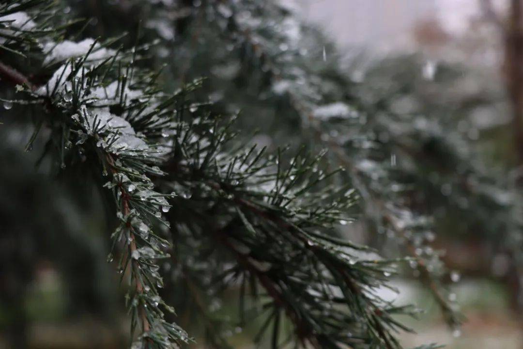 闻见初雪的味道,你好,冬天!