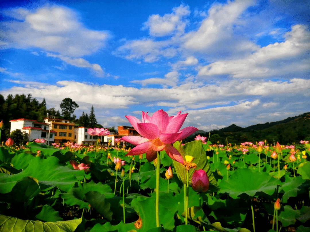 崇义杰坝人口_崇义杰坝乡风景(3)