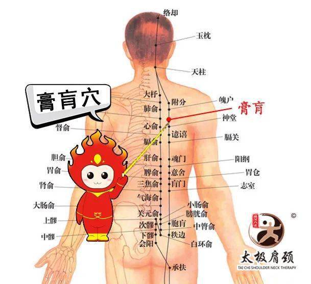 艾灸养生||常灸这十大穴位,女人永远十八岁(内附穴位详解)