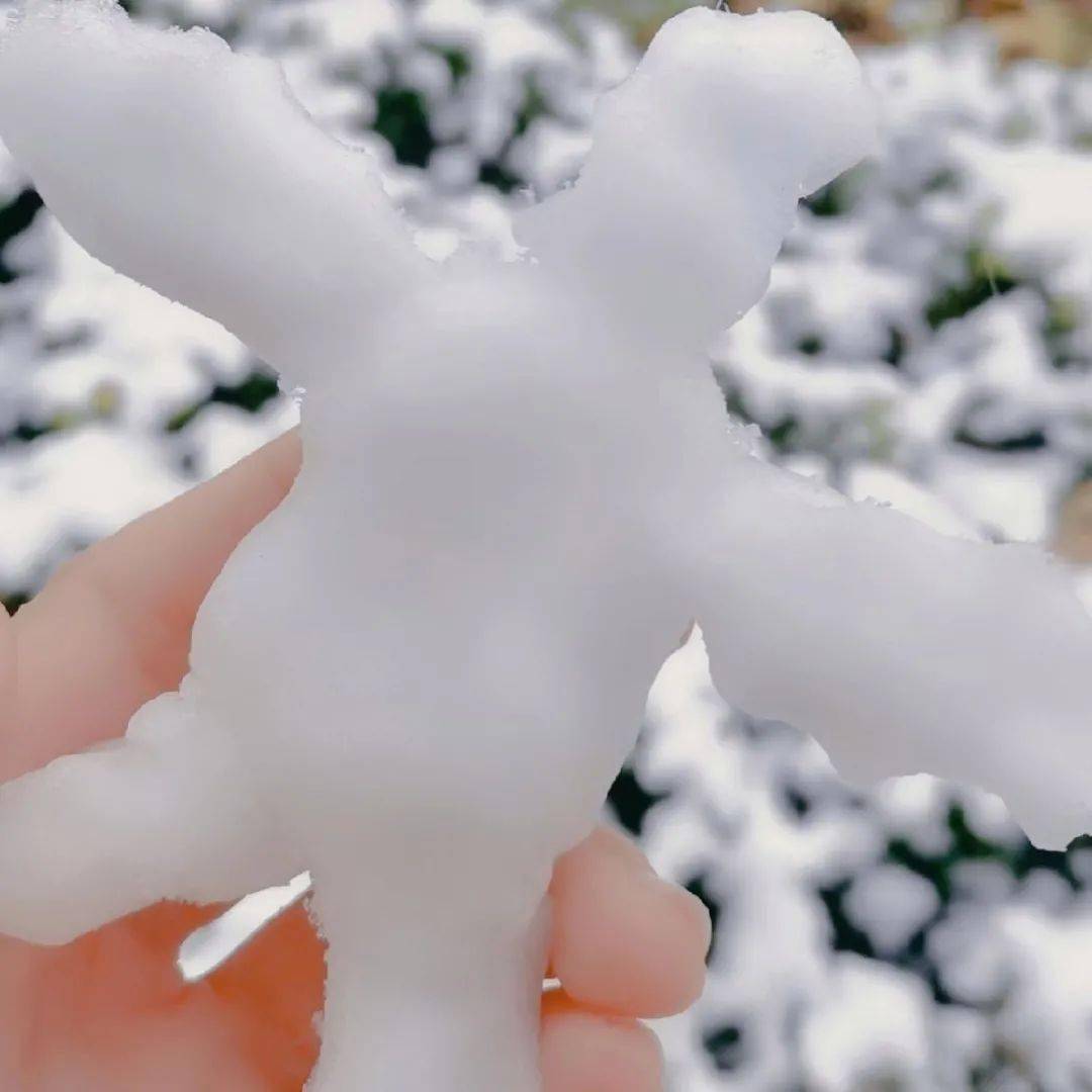 2020年xisu的第一场雪与你共白头