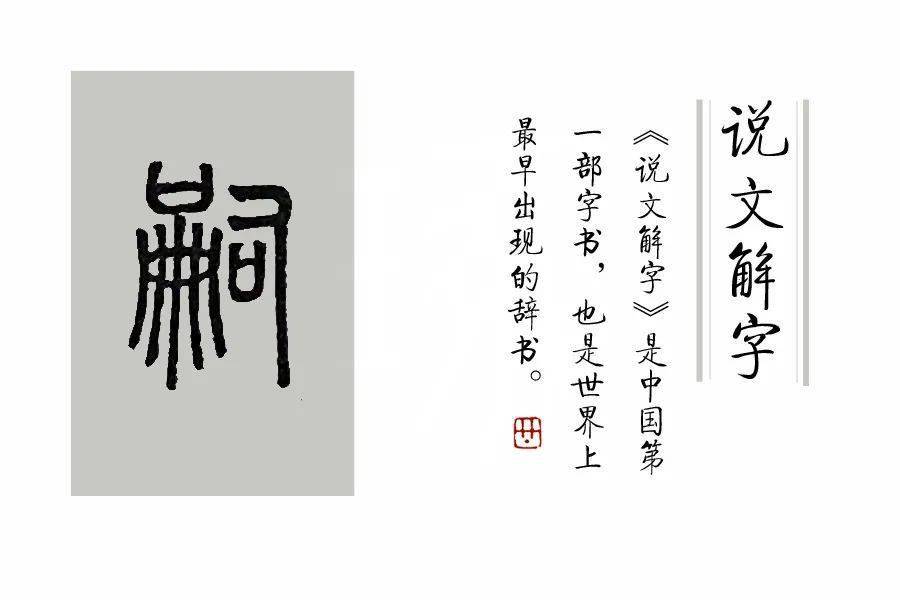 一叶什么舟成语_中秋什么月打一成语