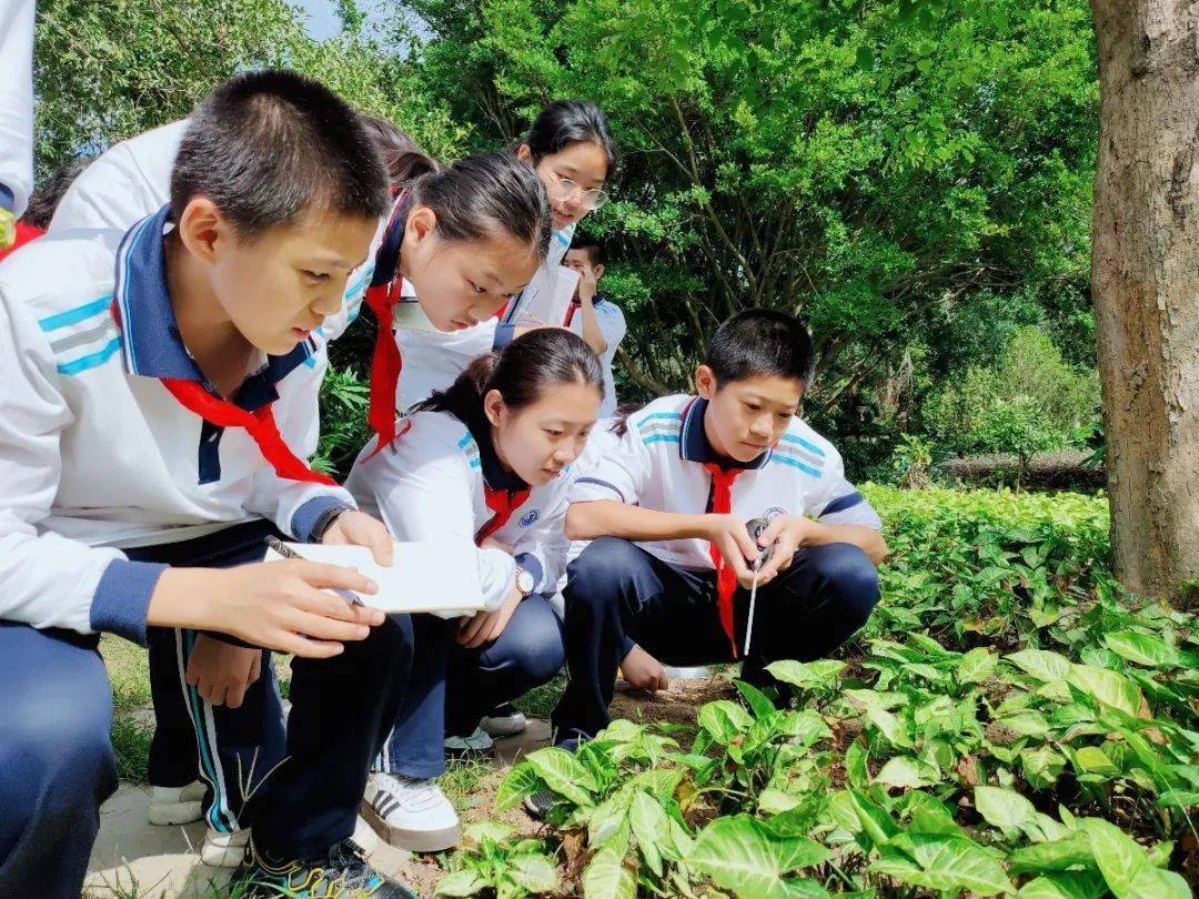 67厦门双十中学漳州校区2019级初二年段东南花都研学实践活动花木竞