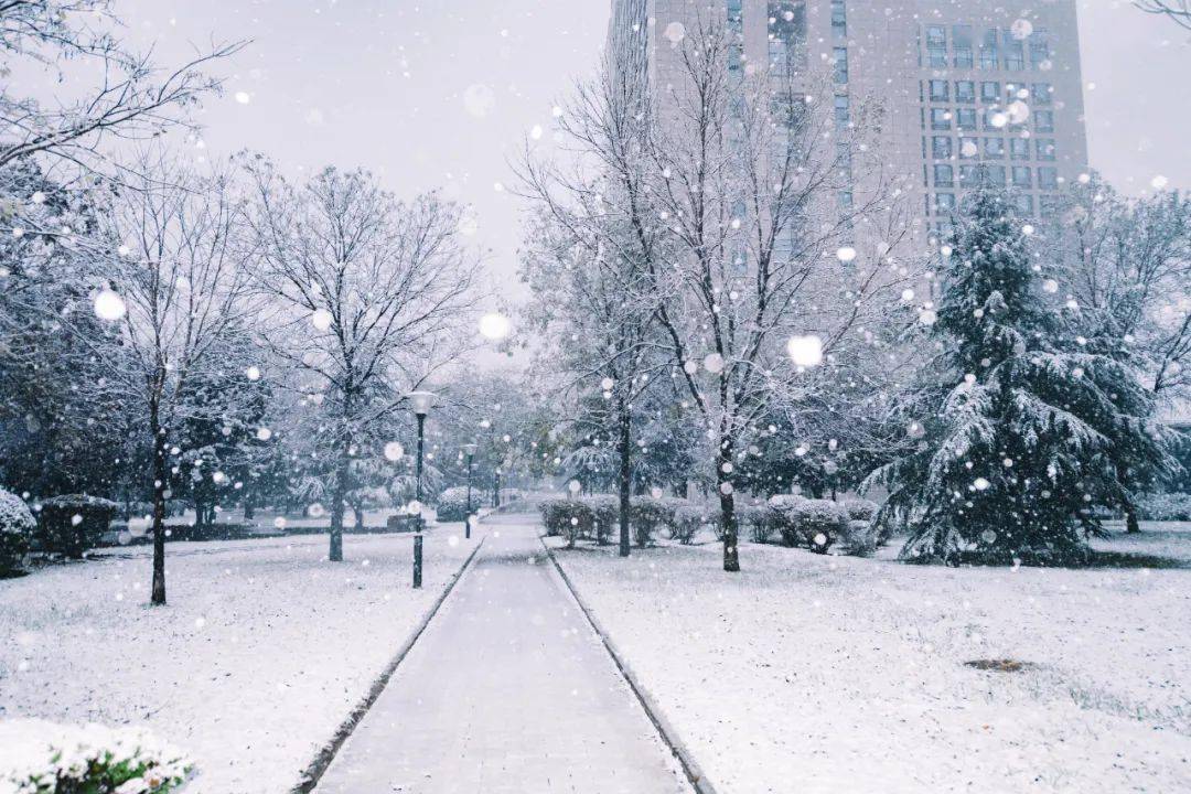 灵动的身影 挥一挥衣袖 只留下寒冷的讯息 遥远天光与朦胧雪光交织