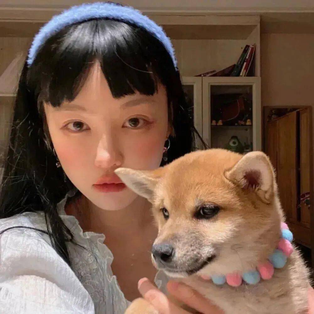 微信头像可爱熊