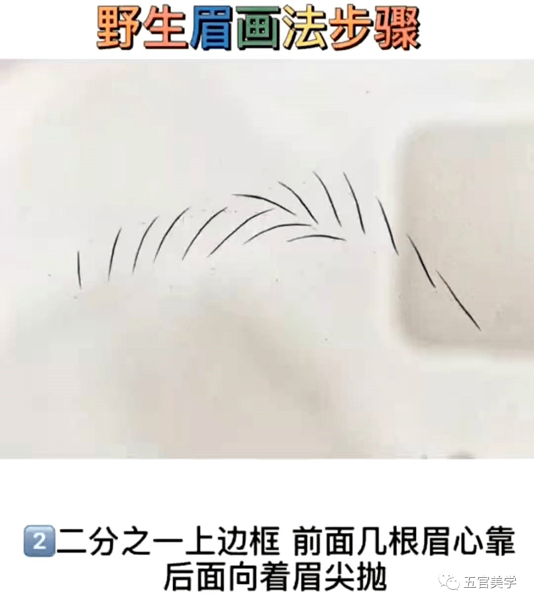 野生眉这么火内含线条排列分析图让你自学成才