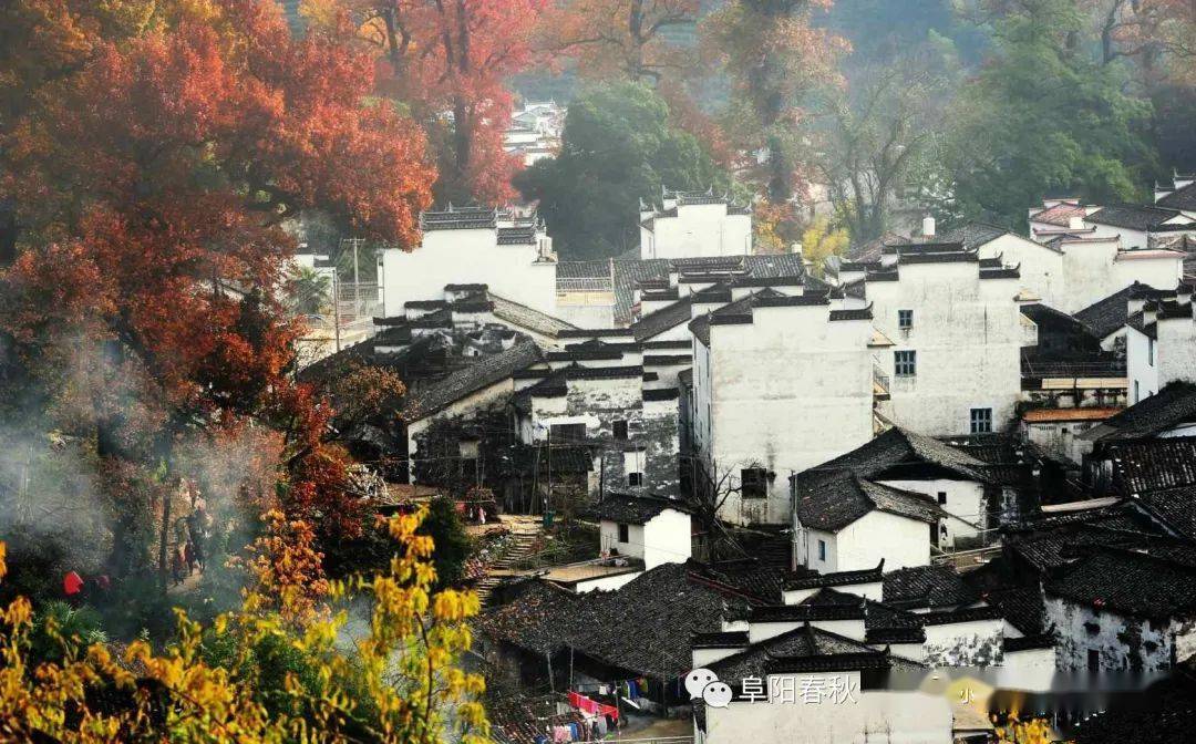 文章配图-2