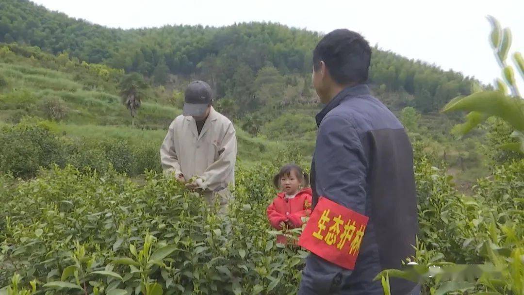 杨溪镇人口_姜堰区淤溪镇杨庄村