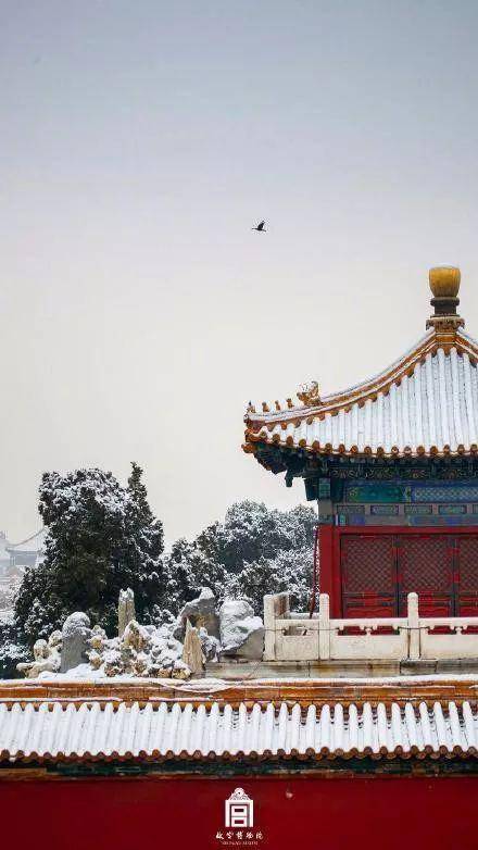 北京飞雪漫天 故宫金瓦红墙,银装素裹 每一幅雪景都美成了屏保