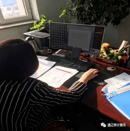 人口普查比对复查手机_人口普查(3)