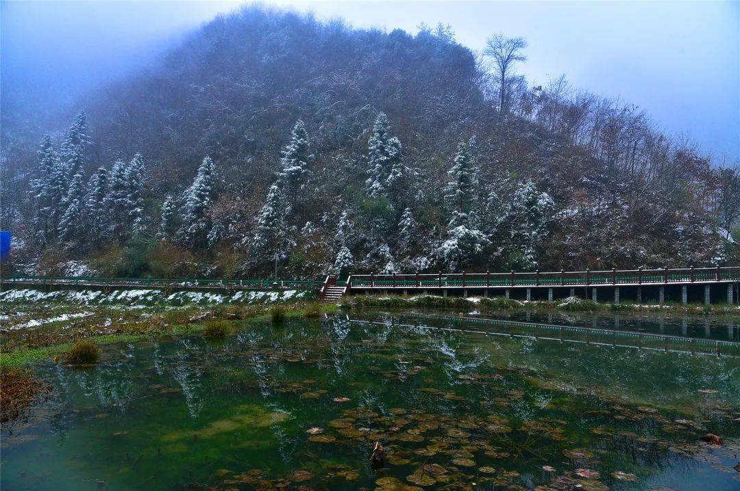 雾河村人口_人口普查(3)