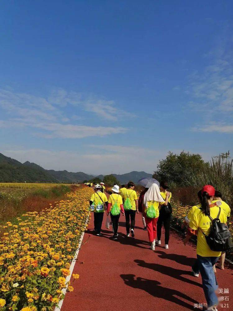 建德市2020年人口_2020-2021跨年图片(3)