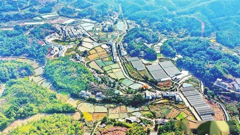 古坊乡人口_岳西古坊乡王松林(3)