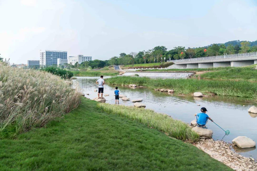 ar精选重塑河道生命系统深圳茅洲河碧道光明段生态修复试点eadg