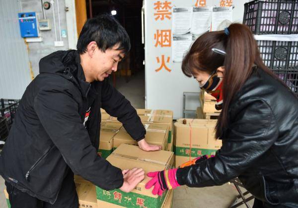 11月25日,在临汾市洪洞县,郭朋朋(左)和工人将苹果打包.