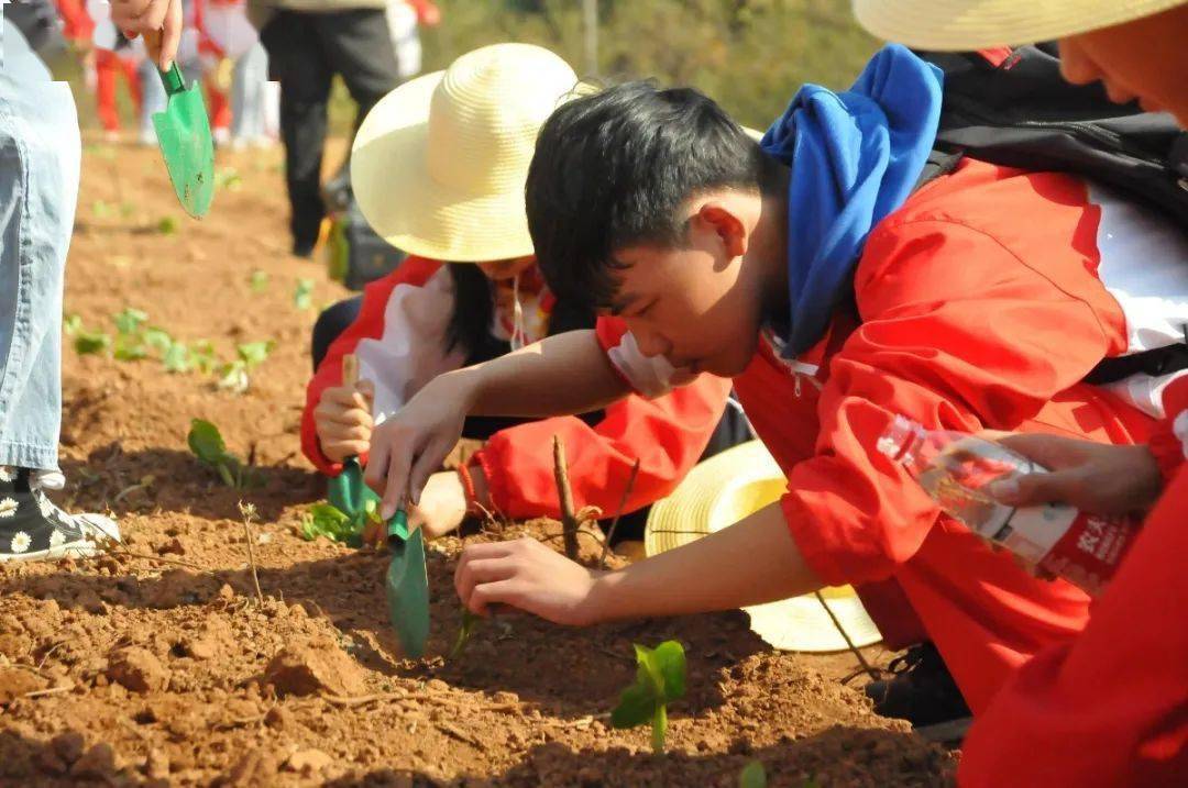 铅山家长:是时候,给你家孩子参加的"研学"活动一个解释!