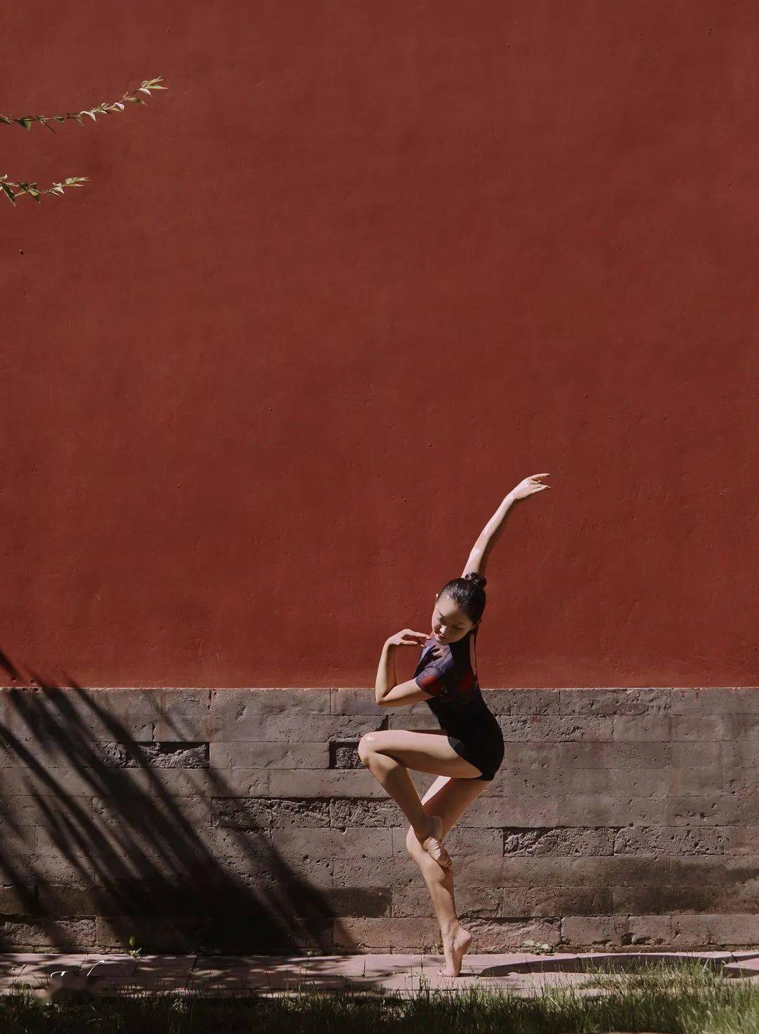 跳舞类型图片 0882175dab5f4dbd91106201018a51e8.jpeg