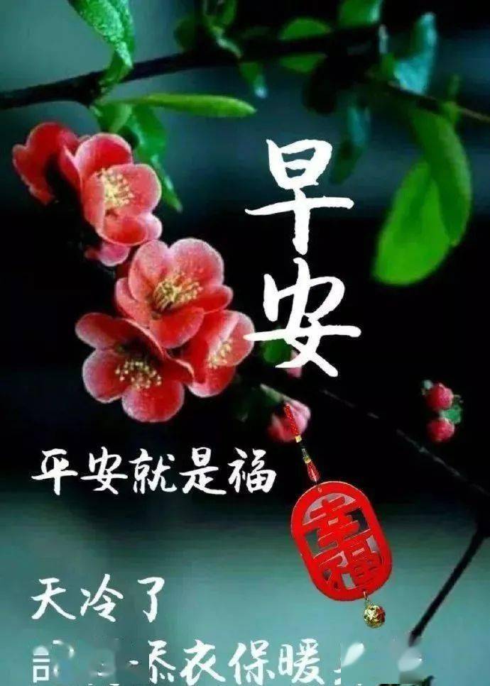 开心早上好问候语:人生有两件事,身体好心情好!