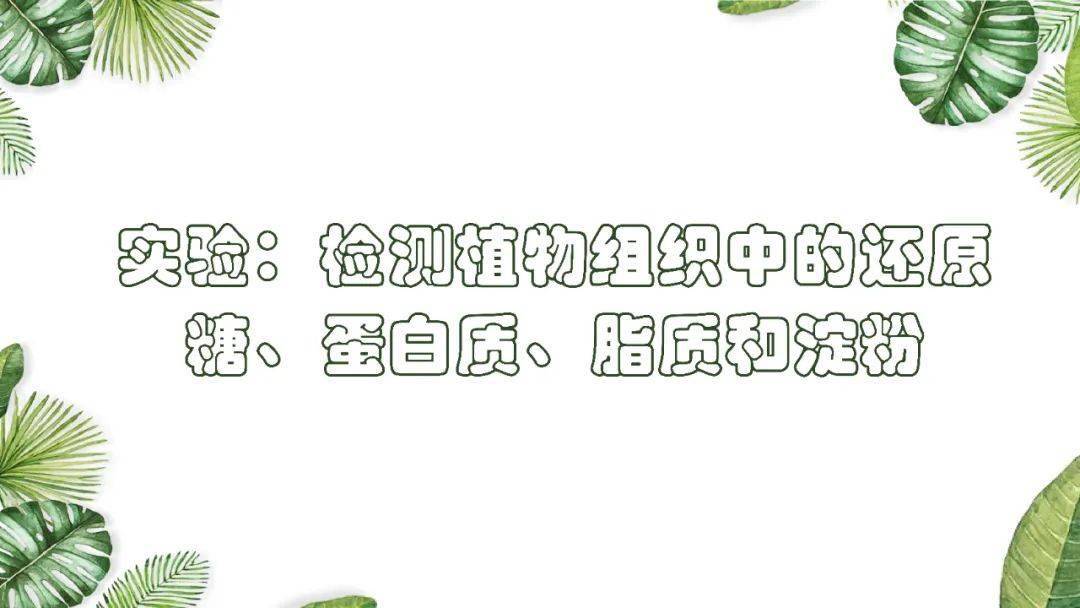 高考|考生必看！附电子版~2021高考一轮| 细胞机器分子组成专题及近三年高考真题压轴练