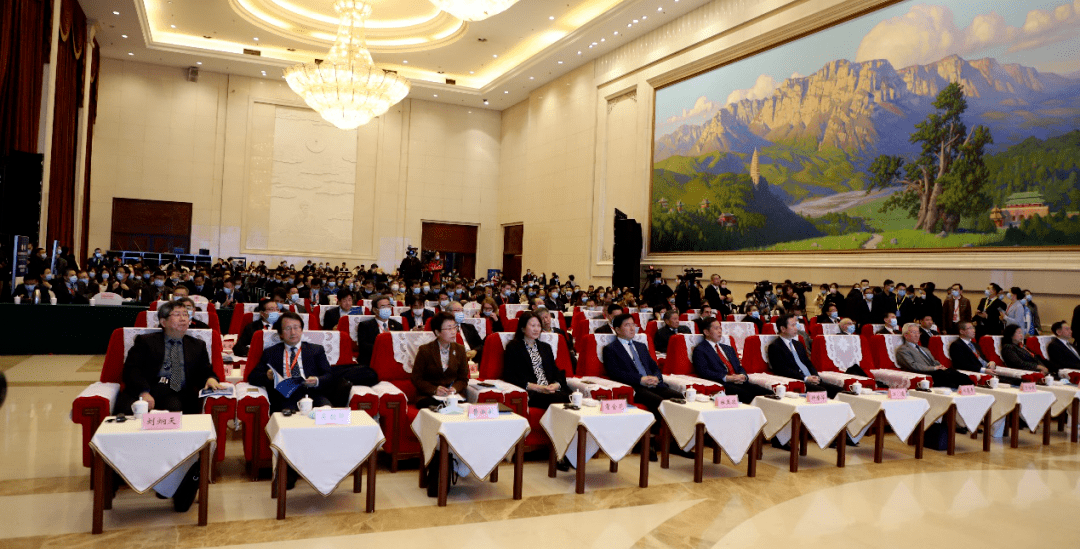 上海外国语大学2020_2020“应对与展望:疫情时代的全球教育”中外学者高(2)