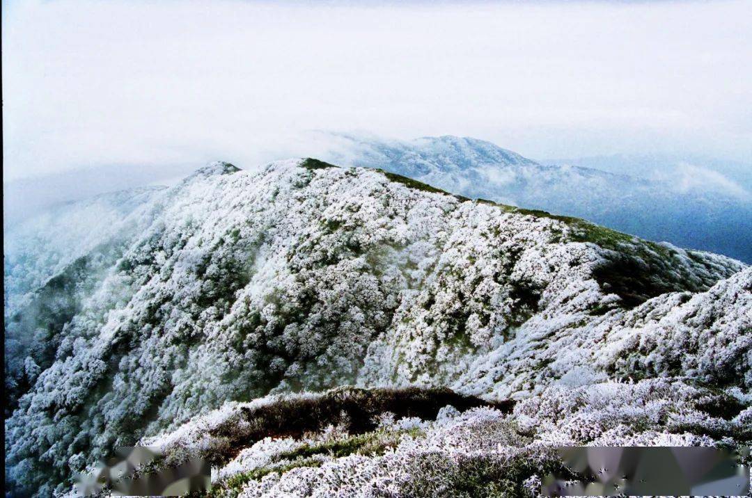 雷公山超美雪景预告别错过啦