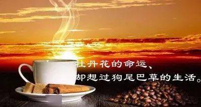 60cf0dfdb09e4935b98219d8ef0e9a66.jpeg