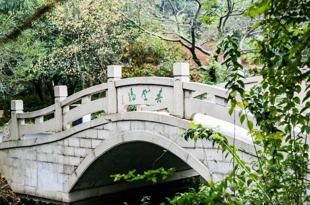 智慧旅游红梅公园的桥伴你走过园中的那些岁月