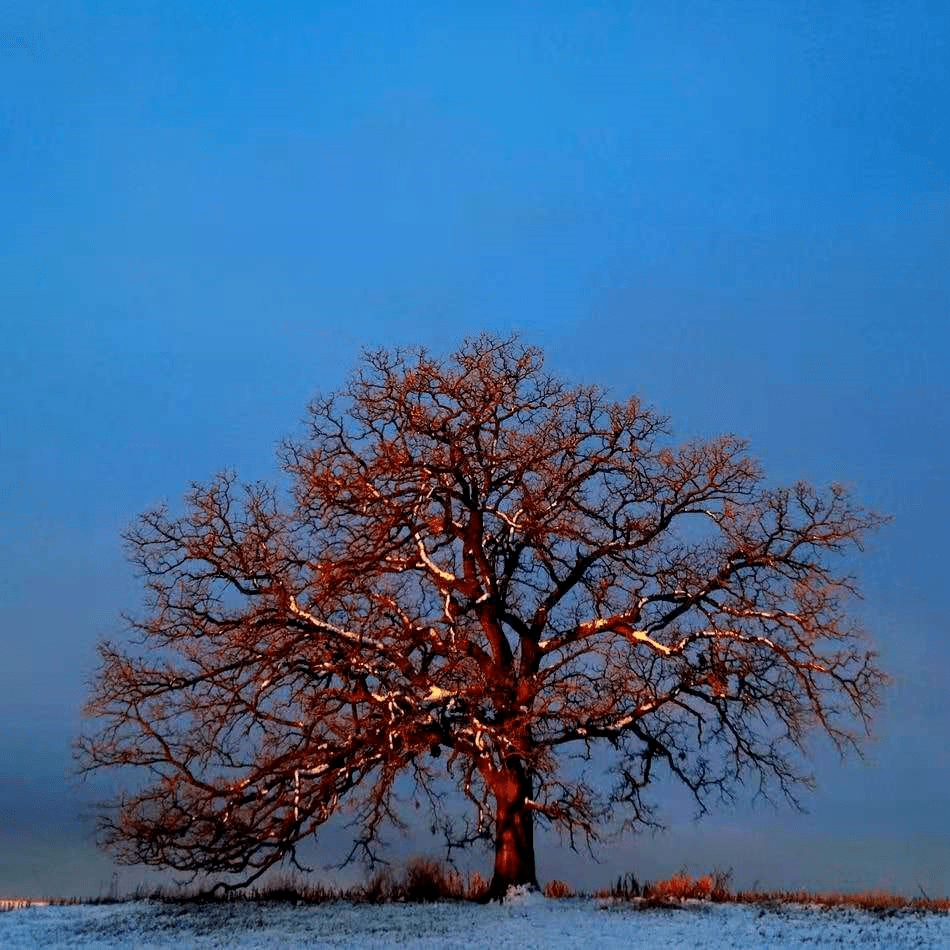 世界著名纯音乐大全 865936f93b8047858b82803b8eaf446f.png