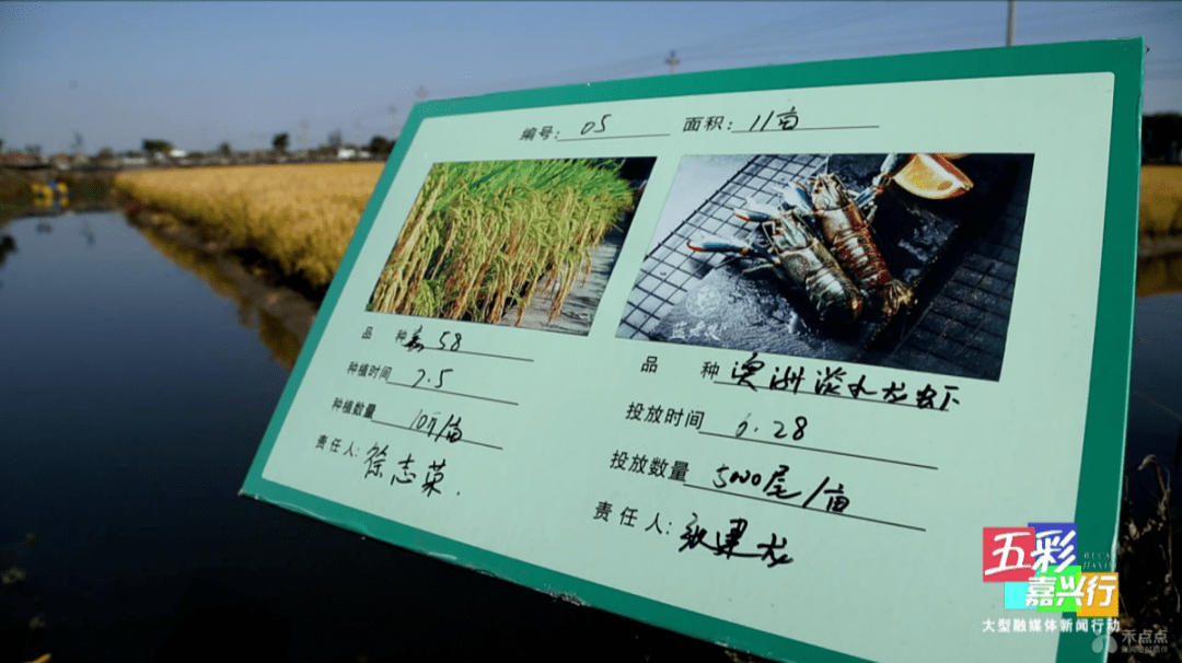 王江泾gdp_一把手 访谈丨王江泾镇 打造长三角一体化协调区璀璨新城(2)