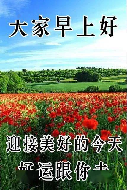 8张最美鲜花早上好图片带祝福语 冬日漂亮早安问候祝福图片鲜花带字