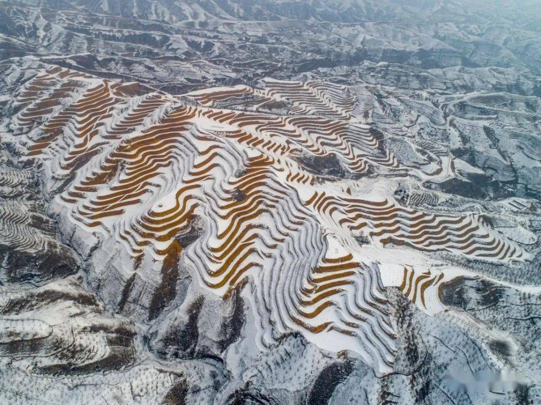 陕北高原雪景"绥德斑马梯田(一等奖)2020年11月27日绥德县行政审批