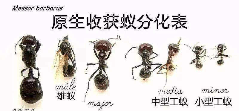 82e707a86ef442a881a896222ec1b2f7.jpeg