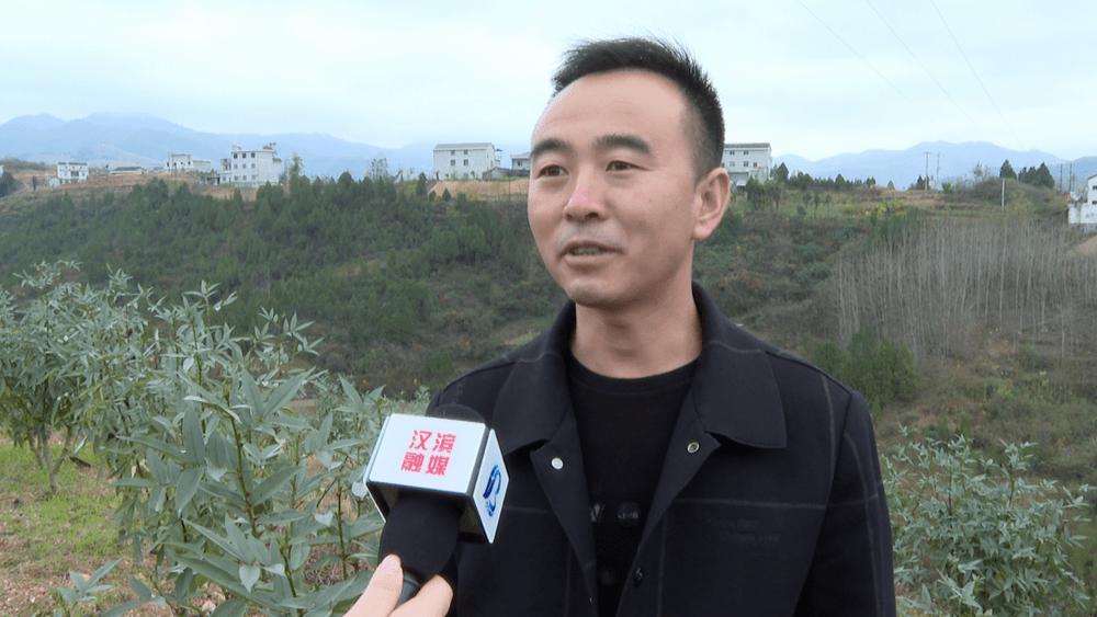 旭康花椒现代农业园区负责人 王兆康