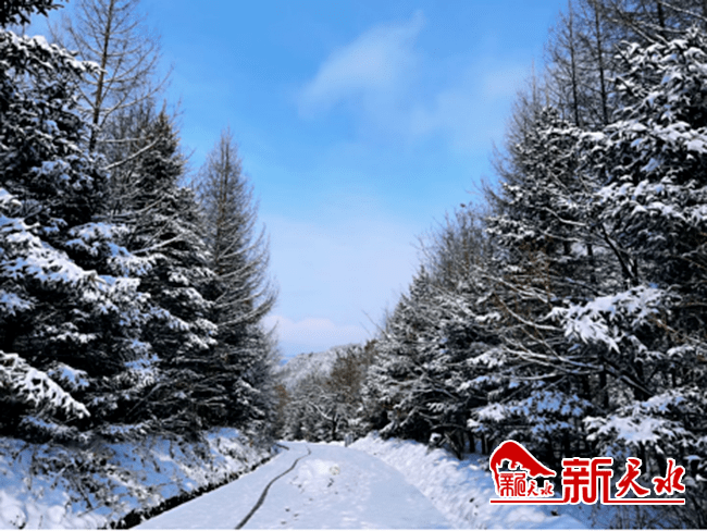 雪霁天晴朗当麦积山邂逅今冬初雪