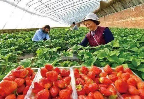 
创业贷款帮孟州贫困户成就创业梦想‘KK体育官方网站’