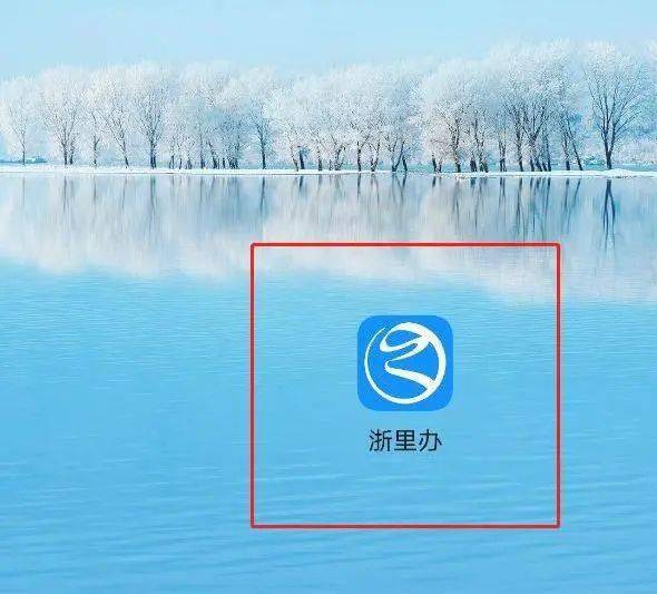 下载浙里办app,按以下步骤操作