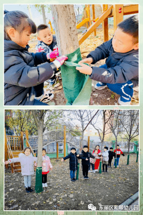 "感恩自然·我为小树穿冬装" ——和顺幼儿园开展爱绿