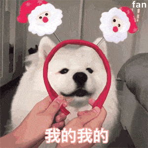 可爱撩人表情包:你说,你在外面是不是有别的猫了?