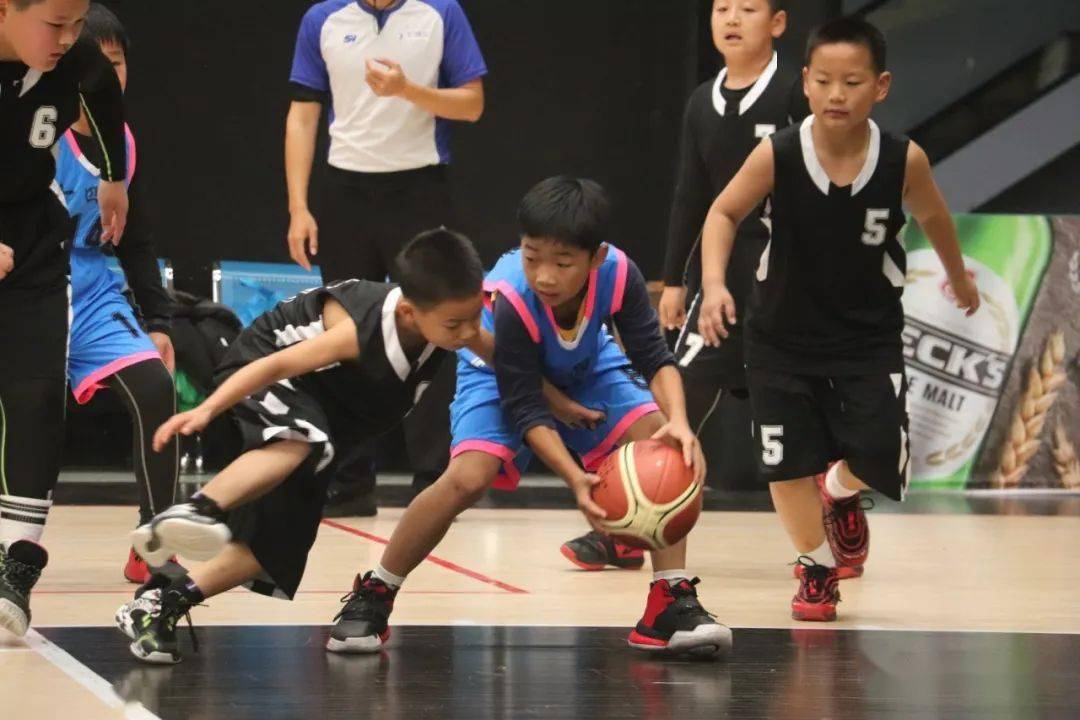 2020年南阳有哪些私_重磅:南阳市2020年普通高中招生工作意见发布!(2)