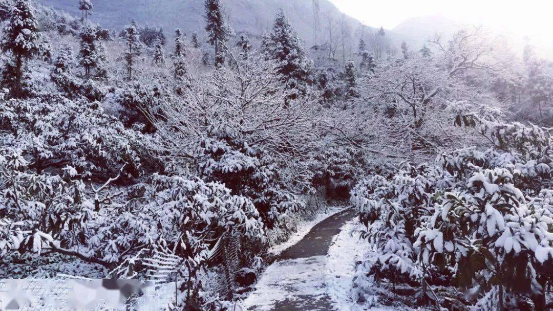 绵阳这些c位赏雪胜地能惊艳你整个冬季