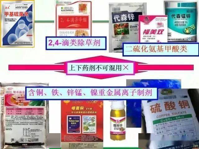 杀菌农药的安全期 f429cbd4d75a4e6e961ffca55fbd2299.jpeg