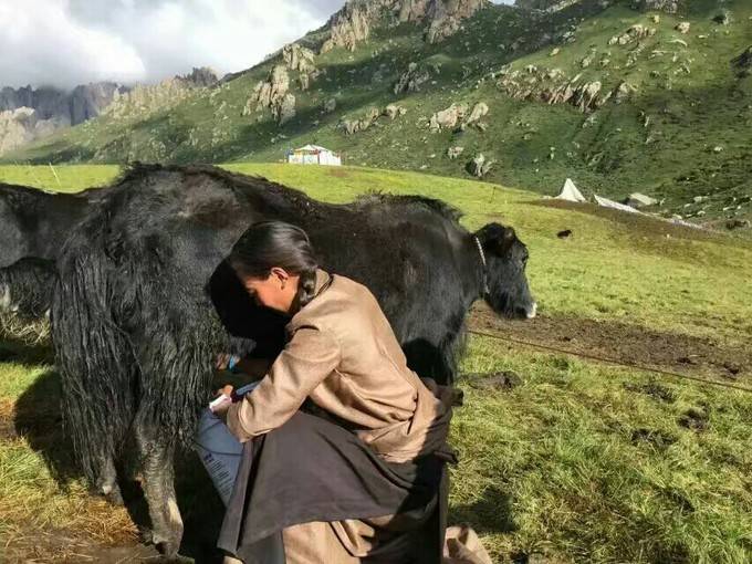 依西卓玛：“让每一位游客感到回家一样的温暖”