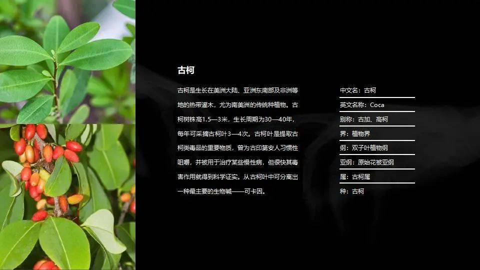 制成毒品的材料有鸦片,吗啡,大麻,古柯,杜冷丁,海洛因,可卡因.