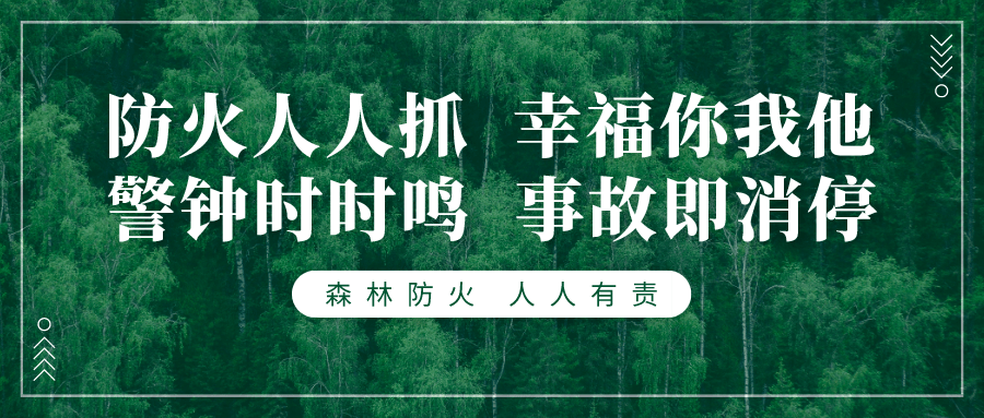 36598d05b2284a269548555fae53ffb4.png